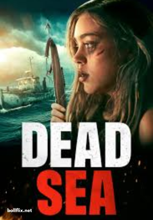 Dead Sea (2024) English Movie 480p | 720p | 1080p WEB-DL ESub